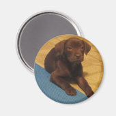 Chocolade Lab Puppy Magnet Magneet (Voorkant / Achterkant)