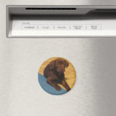 Chocolade Lab Puppy Magnet Magneet (Insitu (Vaatwasser))