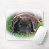 Chocolade Lab Puppy Muismat (Met muis)
