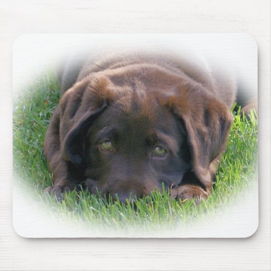 Chocolade Lab Puppy Muismat (Voorkant)
