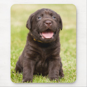 Chocolade Lab Puppy Muismat