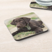 Chocolade Lab Puppy Onderzetter (Linkerzijde)