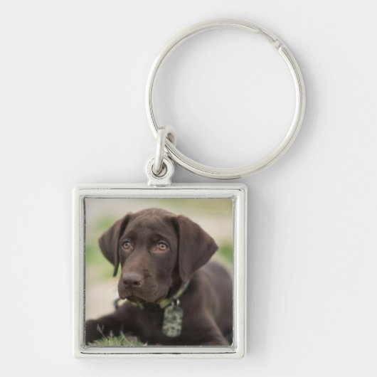Chocolade Lab Puppy Sleutelhanger (Voorkant)