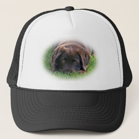 Chocolade Lab Puppy Trucker Pet (Voorkant)