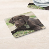 Chocolade Lab Puppy Vierkante Kartonnen Onderzetter (Schuin)
