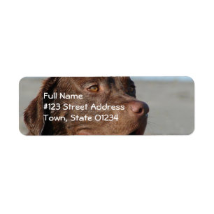 Chocolade Lab Return Address Mailing Label