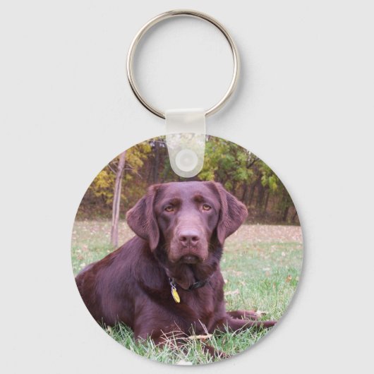 Chocolade Lab Sleutelhanger (Voorkant)