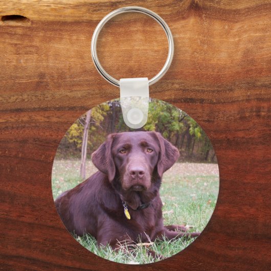 Chocolade Lab Sleutelhanger (Voorkant)