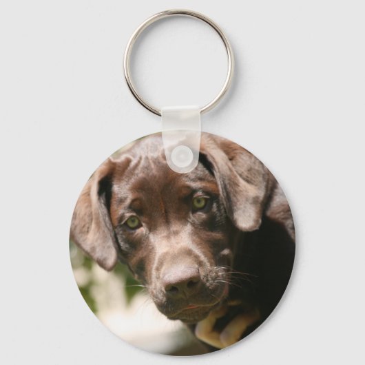 Chocolade Lab Sleutelhanger (Voorkant)