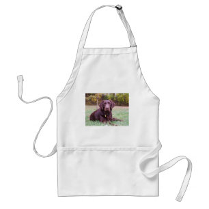 Chocolade Lab Standaard Schort