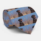 Chocolade Lab Stropdas (Opgerold)