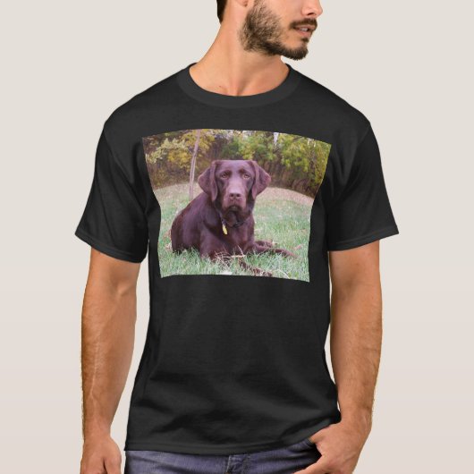 Chocolade Lab T-shirt (Voorkant)