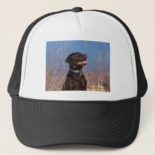 Chocolade Lab Trucker Pet (Voorkant)