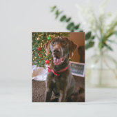 Chocolade Lab Vrolijk Kerst Briefkaart (Staand voorkant)