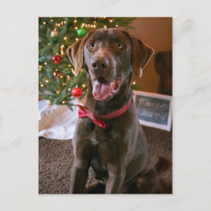 Chocolade Lab Vrolijk Kerst Briefkaart