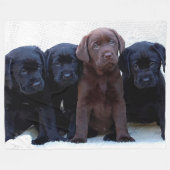 Chocolade Lab - zwarte labrador Puppies Fleece Deken (Voorkant (Horizontaal))