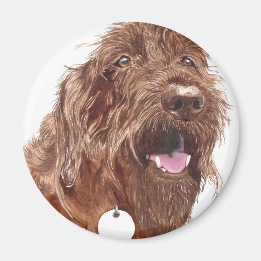 Chocolade Labradoodle #1 magneet (Voorkant)