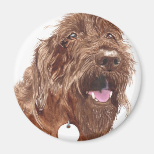 Chocolade Labradoodle #1 Magnet Magneet