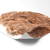 Chocolade Labradoodle #2 Afdrukken Poster (Hoek)