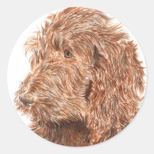 Chocolade Labradoodle #2 ronde Stickers (Voorkant)