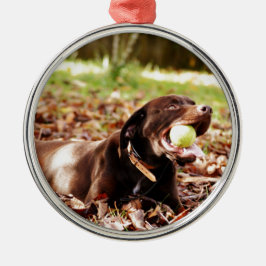 Chocolade Labrador die met een bal speelt Metalen Ornament