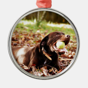 Chocolade Labrador die met een bal speelt Metalen Ornament