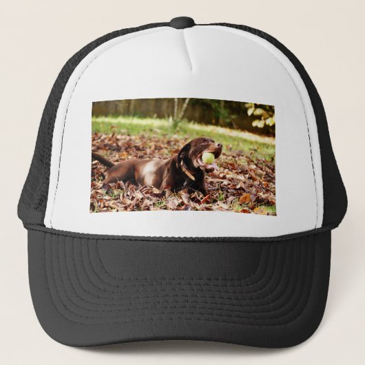 Chocolade Labrador die met een bal speelt Trucker Pet (Voorkant)