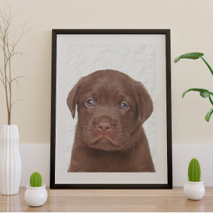 Chocolade Labrador Glossy Poster Perfect Poster