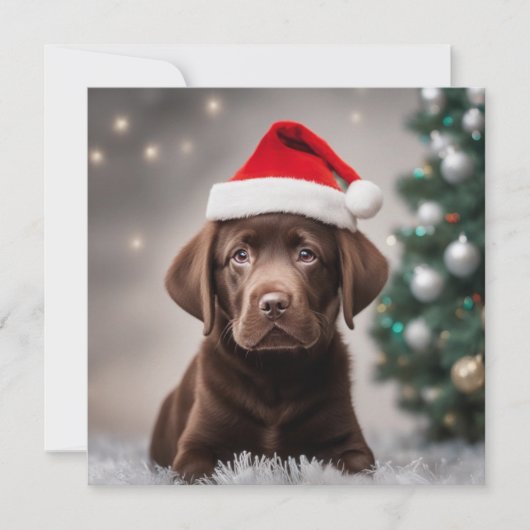 Chocolade Labrador Kerstmis (Voorkant)