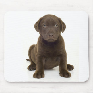 Chocolade Labrador Mousepad Muismat