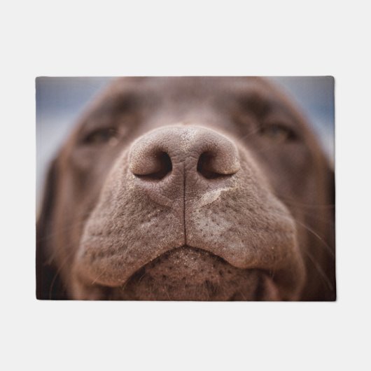 Chocolade Labrador Nose Closeup Deurmat (Voorkant)