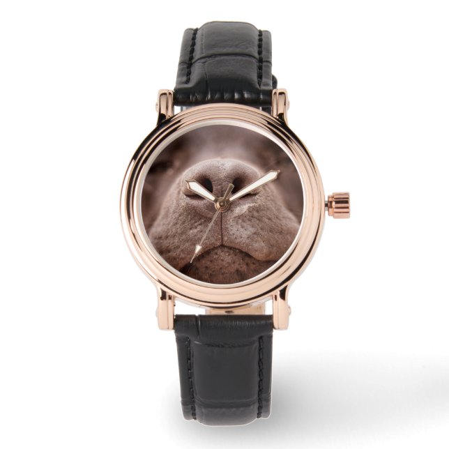 Chocolade Labrador Nose Closeup Horloge (Voorkant)