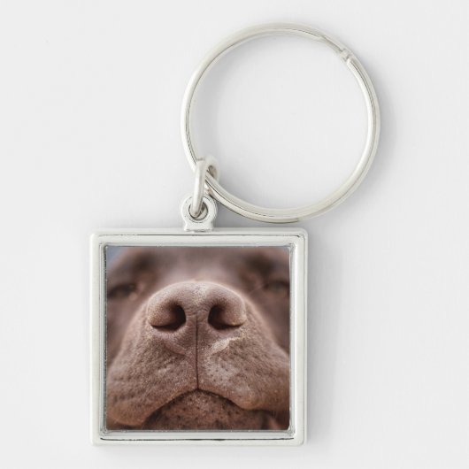 Chocolade Labrador Nose Closeup Sleutelhanger (Voorkant)