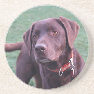 Chocolade Labrador onderzetter