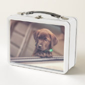 chocolade labrador puppy in auto (Voorkant)