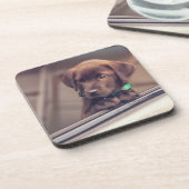 chocolade labrador puppy in auto bier onderzetter (Linkerzijde)