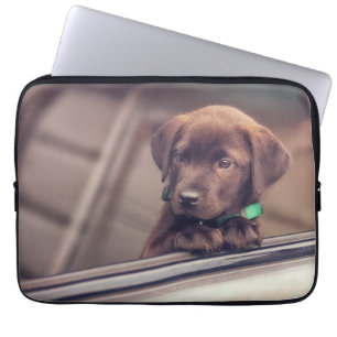 chocolade labrador puppy in auto laptop sleeve