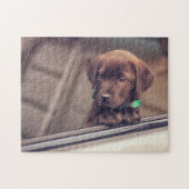 chocolade labrador puppy in auto legpuzzel (Horizontaal)