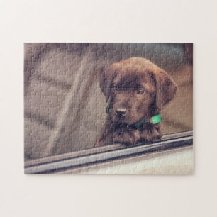 chocolade labrador puppy in auto legpuzzel