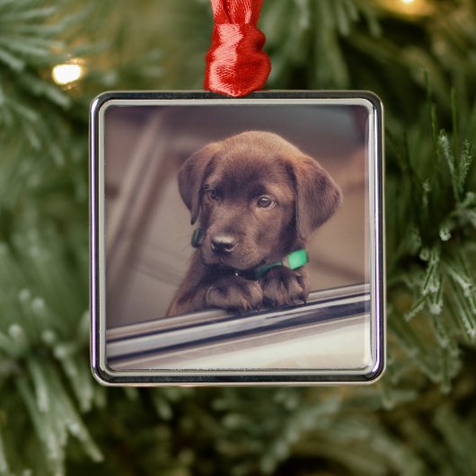 chocolade labrador puppy in auto metalen ornament (Boom)