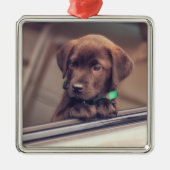 chocolade labrador puppy in auto metalen ornament (Voorkant)