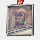 chocolade labrador puppy in auto metalen ornament (Links)