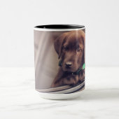 chocolade labrador puppy in auto mok (Midden)