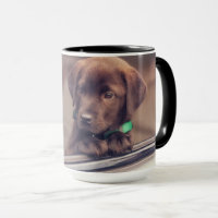 chocolade labrador puppy in auto