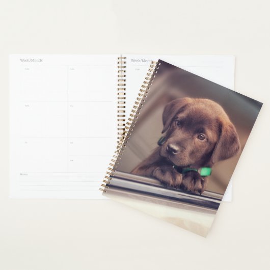 chocolade labrador puppy in auto planner (Display)