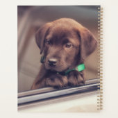 chocolade labrador puppy in auto planner (Achterkant)