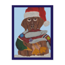 Chocolade Labrador Puppy in Kerstmannetje & eend s