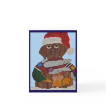 Chocolade Labrador Puppy in Kerstmuts & eendenspee