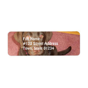 Chocolade Labrador Puppy Mailing Label