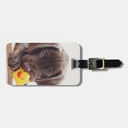 Chocolade Labrador Puppy met Speelgoed Duck Bagagelabel (Voorkant horizontaal)